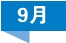 9.png